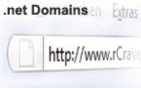 .net Domain